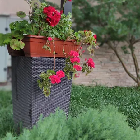 Palazzo Къща за гости 3*