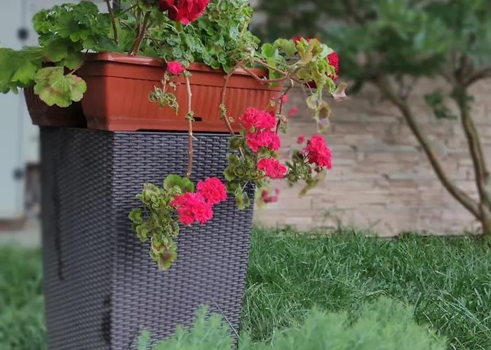 Palazzo Гостевой дом 3*