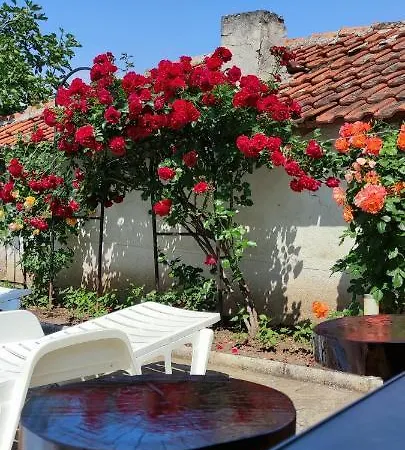 Guest house Palazzo