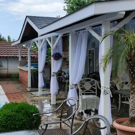 Guest house Palazzo 3*