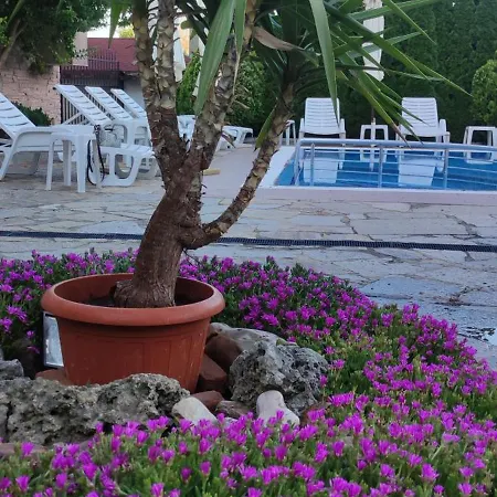 Guest house Palazzo